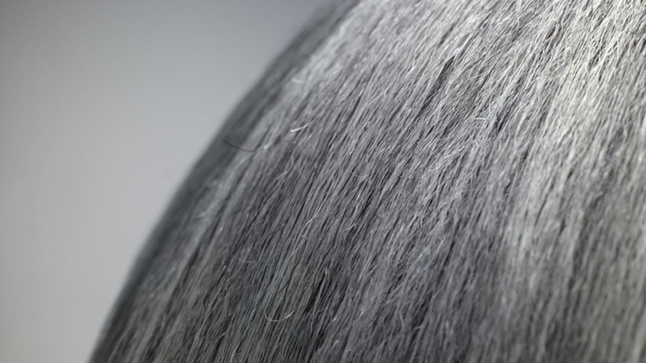 Can Stress Cause Grey Hair? Understanding the Connection